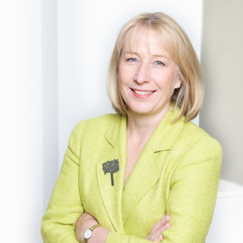 An update on the Alumni Relations and Development Advisory Board